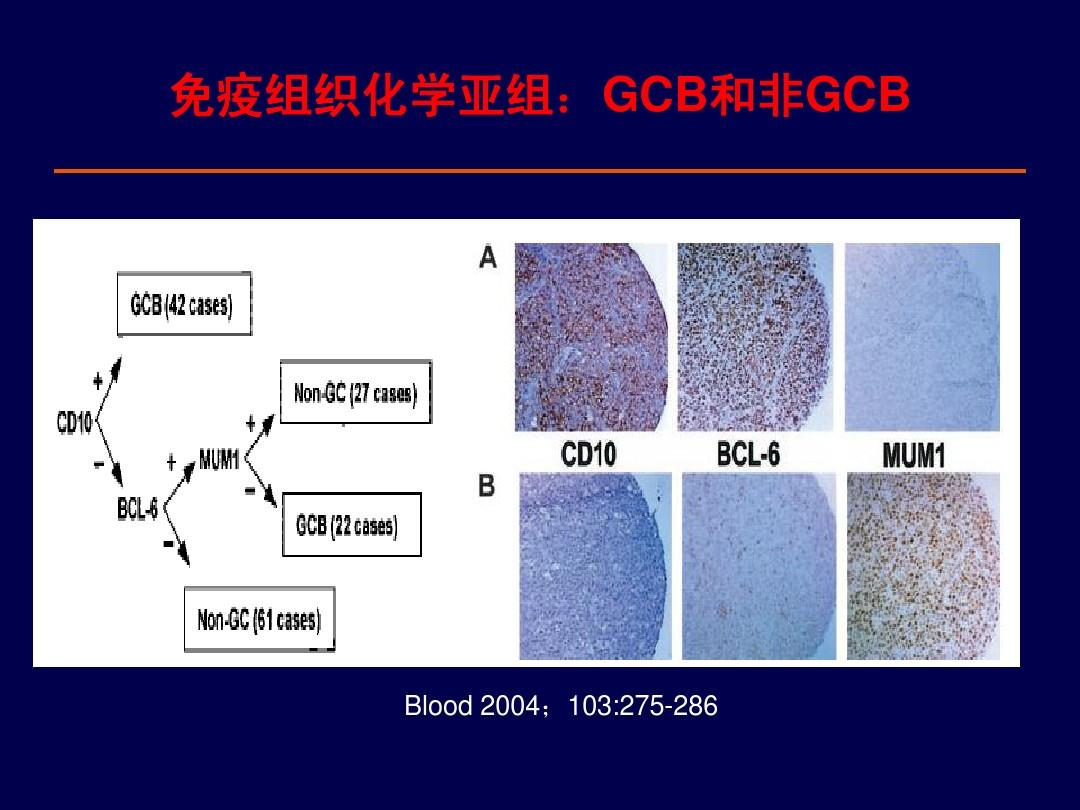恒瑞 pd 1 血管瘤_恒瑞免疫治疗血管瘤_恒瑞pd-1血管瘤