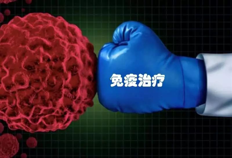 恒瑞 pd 1 血管瘤_恒瑞pd-1血管瘤_恒瑞免疫治疗血管瘤