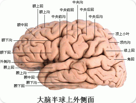 电梯楼层信号叠加器_电梯监控楼层叠加器布线_叠加楼层电梯器信号怎么调