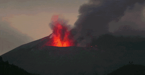 风林火山发布会_风林火山手游_风林火山官网多少
