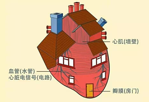 冠心病的最新护理查房总结_冠心病护理疾病查房ppt_冠心病护理查房ppt
