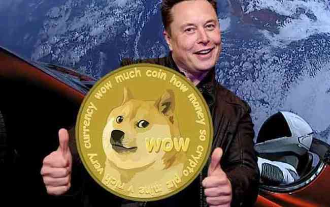 狗狗币钱包dogecoin_tp钱包狗狗币主网_狗狗币钱包官网