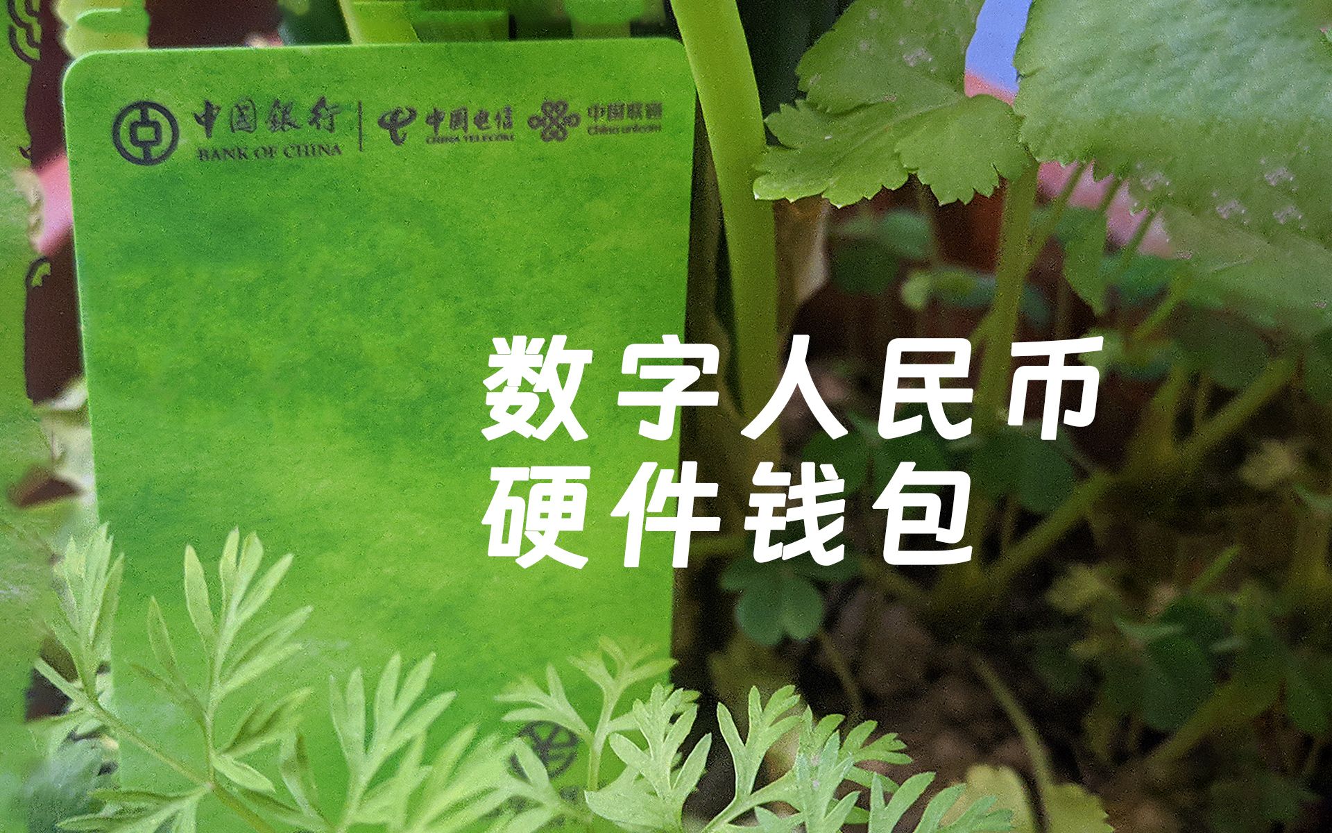 imtoken钱包资产截图_im钱包余额截图_imtoken钱包视频教学
