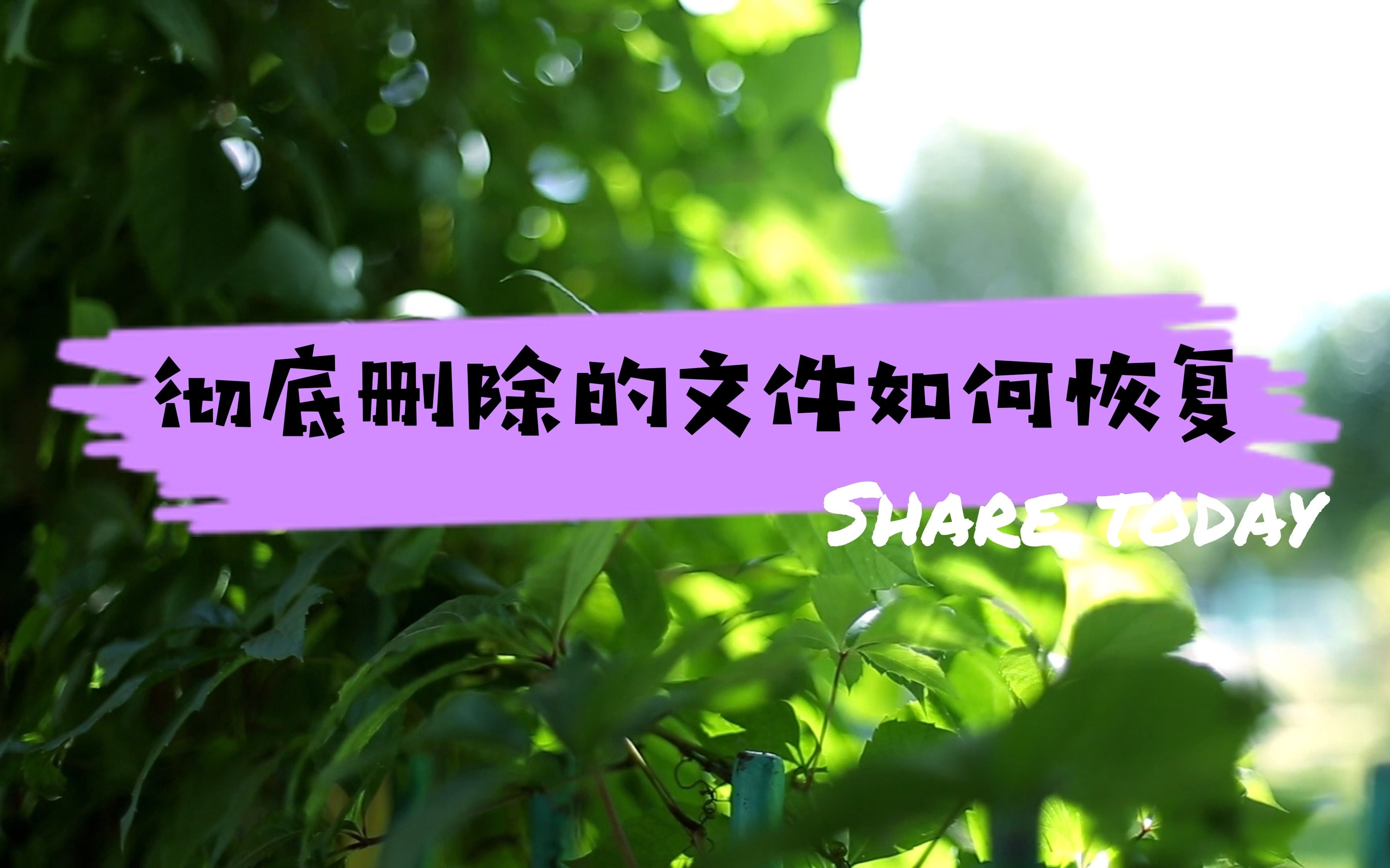 绿色文件夹怎么恢复_date文件恢复绿色_数据恢复软件绿色