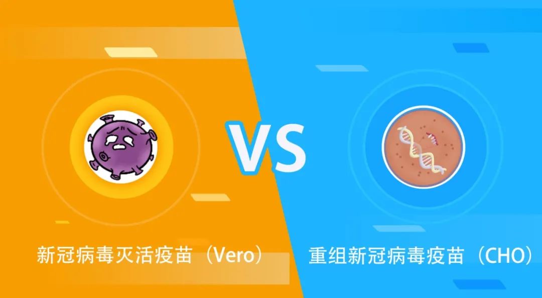 呼吸合胞病毒用什么药_呼吸道合胞病毒疫苗_呼吸合胞病毒会自愈吗