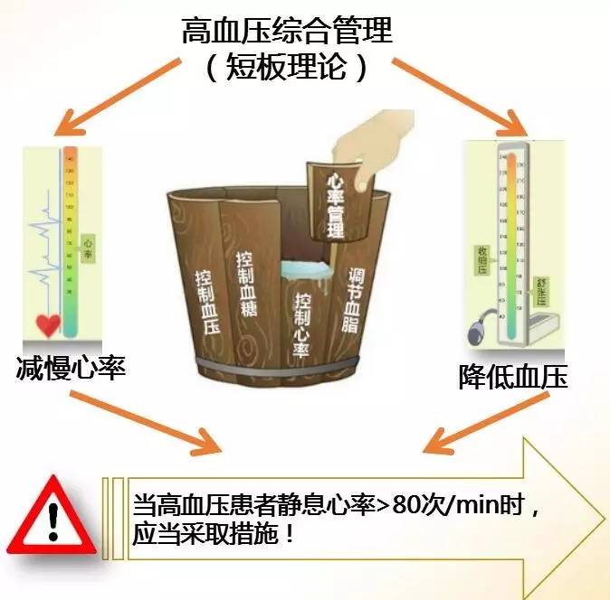 血压高有冠心病喝什么降压药_高血压冠心病怎么调理_高血压冠心病常吃的调理中药