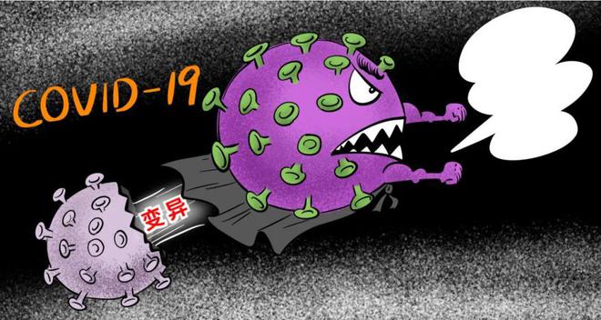 hidetoolz报毒_登录器报毒_tp钱包报毒