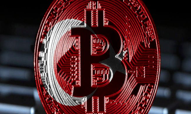 盗取tp钱包_钱包被盗_钱包盗刷是真的吗