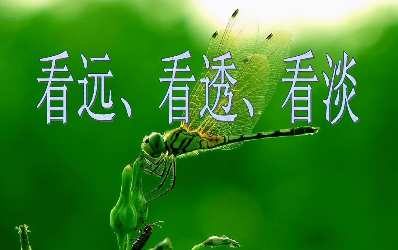 凡是派_派的笔顺_派大星