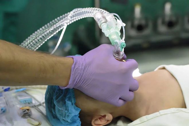 ecshop模板免费下载_租房合同模板免费下载_元宵节ppt模板免费下载