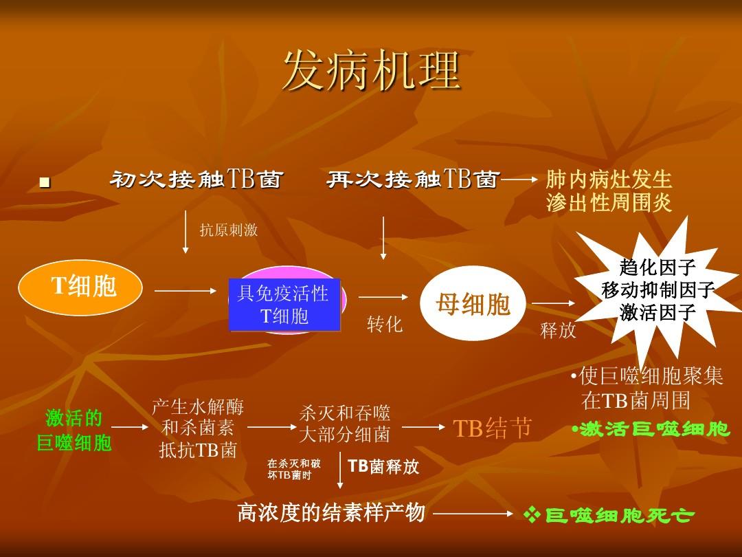 肺结核自愈还需要治疗吗_肺结核自愈期间会传染吗_三型肺结核可以自愈吗