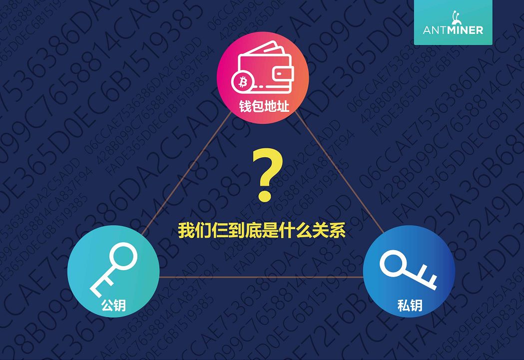 下载TP钱包只需要记住助记词吗_钱包助记词破解_钱包助记词有什么作用