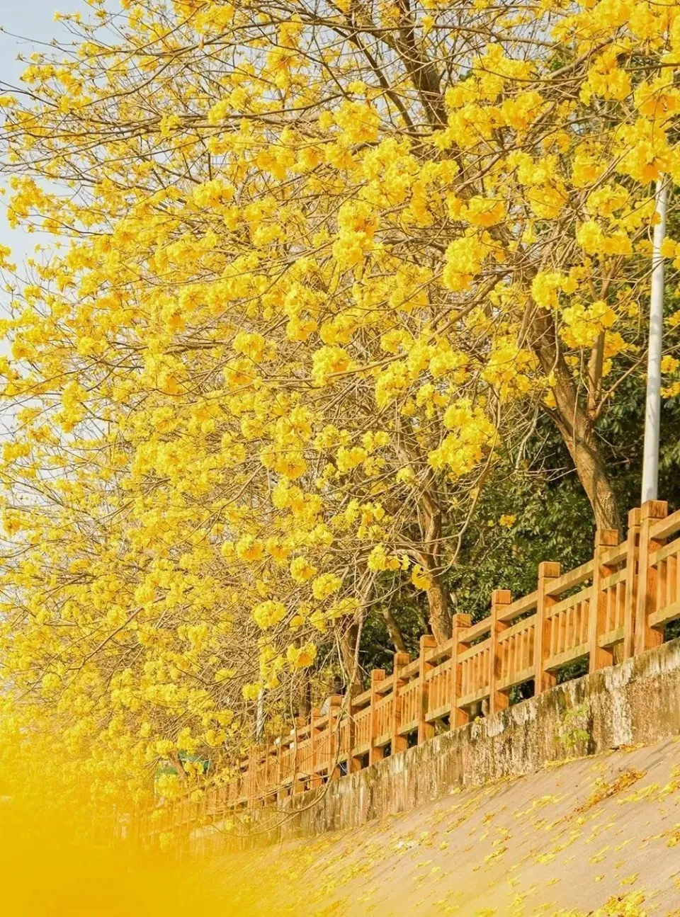 辉南县金川破鞋_金川南县破鞋厂电话_金川南县破鞋店电话