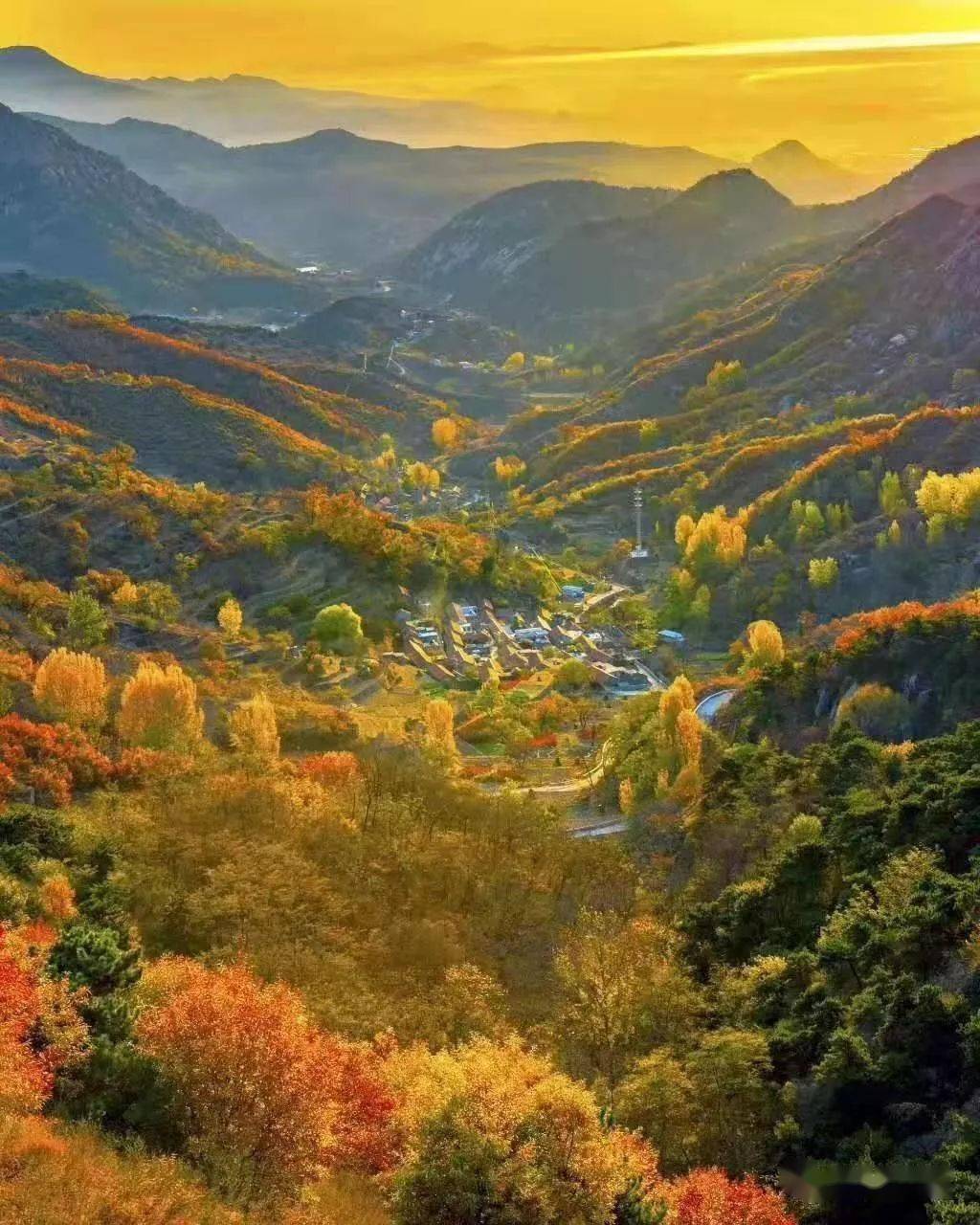济南无影山路_济南市无影山_济南无影山市场