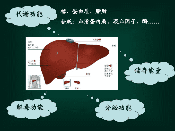肝硬化饮食腹水怎么调理_肝硬化饮食腹水能活多久_肝硬化肝腹水饮食