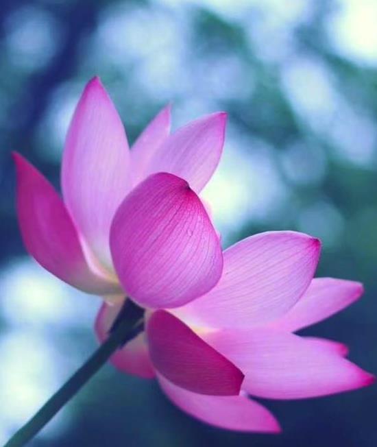 冒泡排序数字从小到大_c冒泡排序从小到大_冒泡排序sort