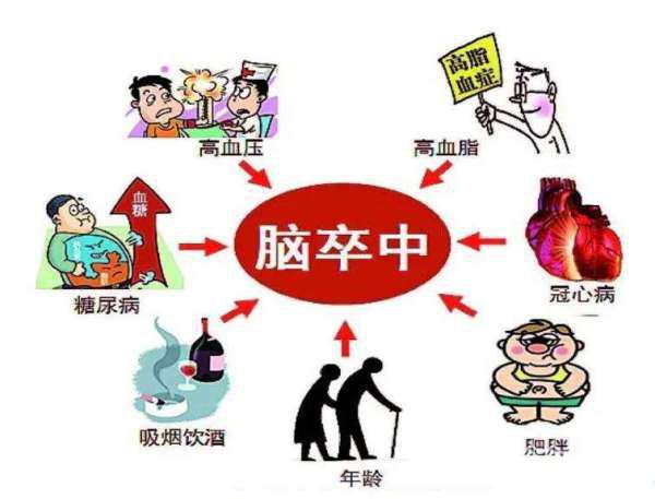 护理个案冠心病ppt_冠心病个案护理_冠心病的护理个案