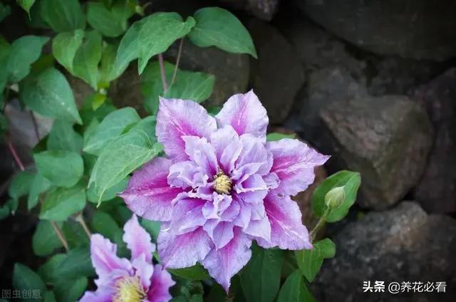钱包的好处_钱包好吗_tp钱包有什么好处