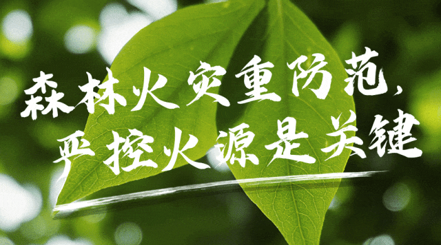 imtoken怎么添加合约地址_imtoken怎么添加合约地址_imtoken怎么添加合约地址