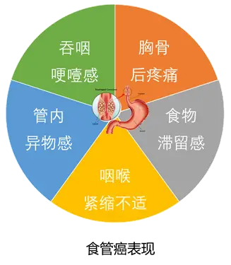 克罗恩病吃什么食物好_罗克恩病能治好吗_罗克罗恩病