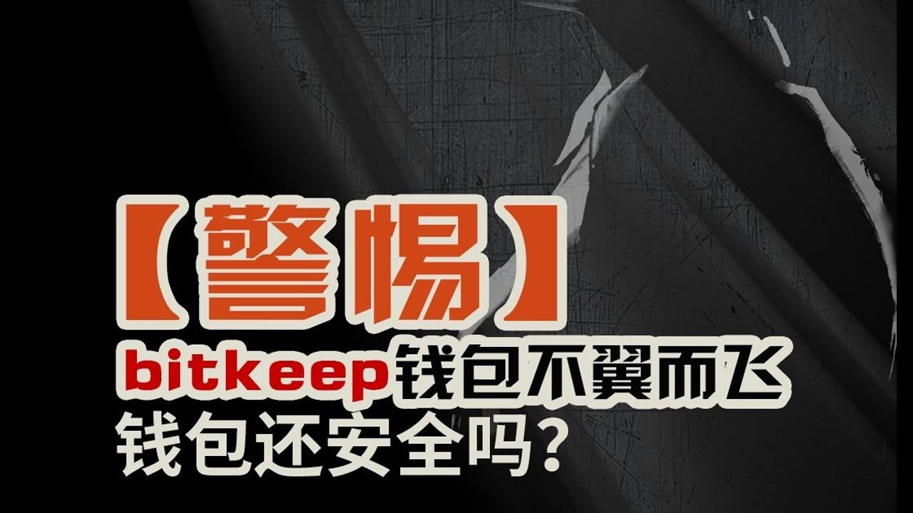 手机钱包被偷_im钱包被盗手机还能用吗_钱包被盗报警会受理吗