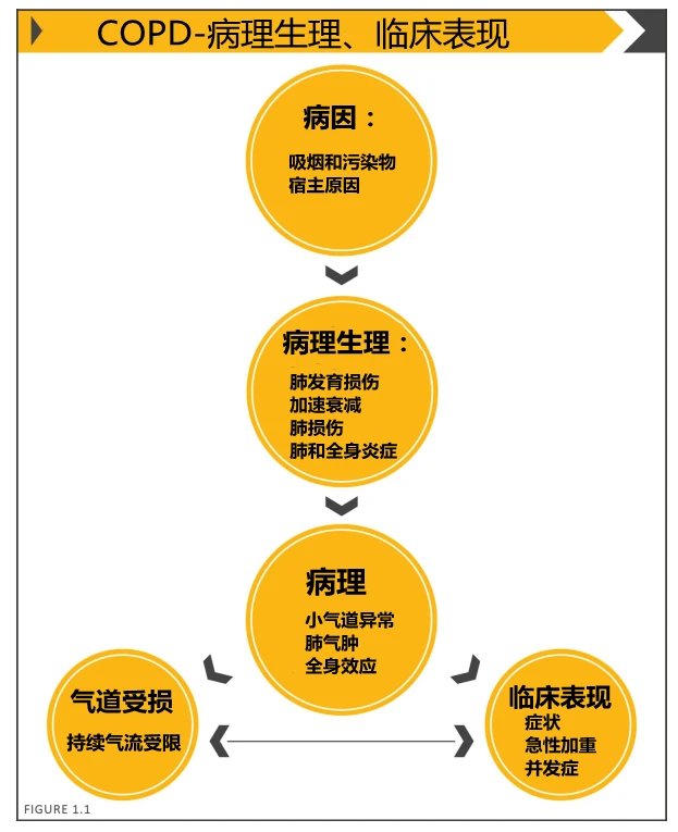 呼吸衰竭临床表现图片