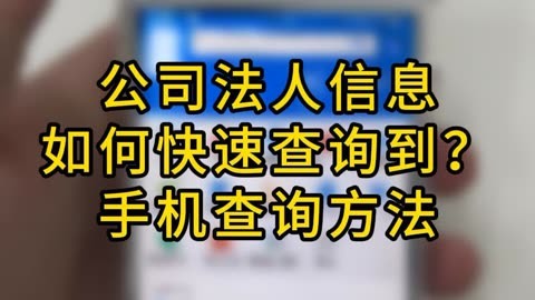 全国公司法人查询系统_法人查询_企业法人查询