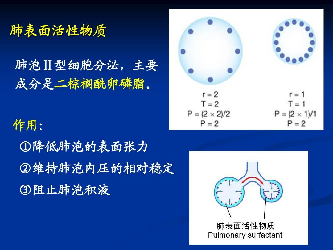 肺泡蛋白质沉积症发病率_肺泡蛋白沉积_肺泡蛋白质沉积症会传染吗