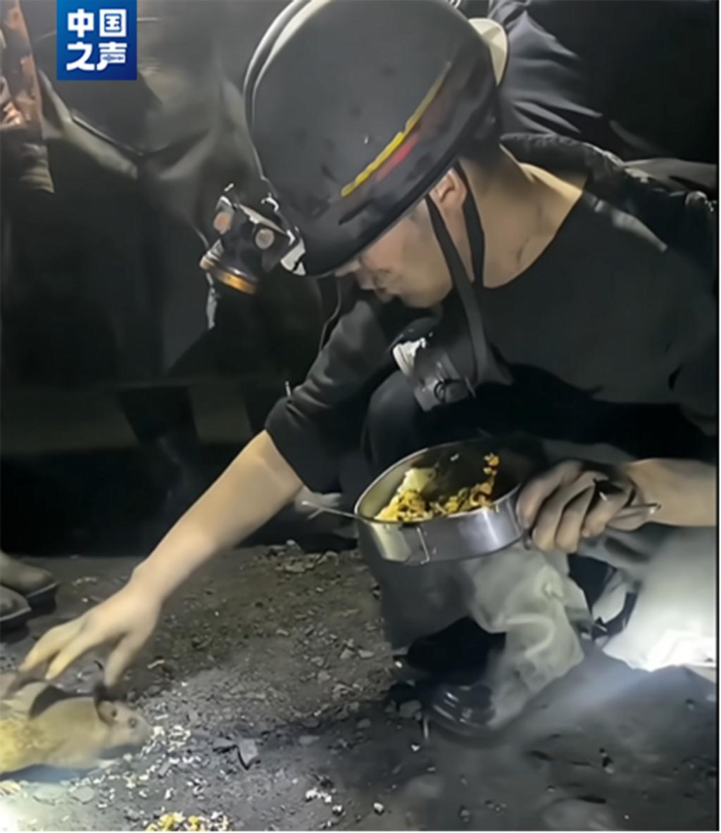 收手续费发票怎么做分录_收手续费怎么做分录_imtoken手续费怎么收