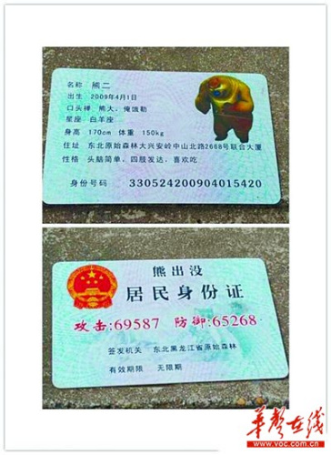 验证证号码身份怎么填_身份证号码验证码_怎么验证身份证号码