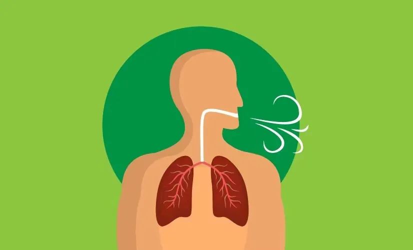 肺空洞是怎么形成的_肺空洞形成是怎么回事_肺空洞形成是肺癌吗