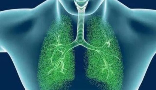 肺空洞是怎么形成的_肺空洞形成是怎么回事_肺空洞形成是肺癌吗