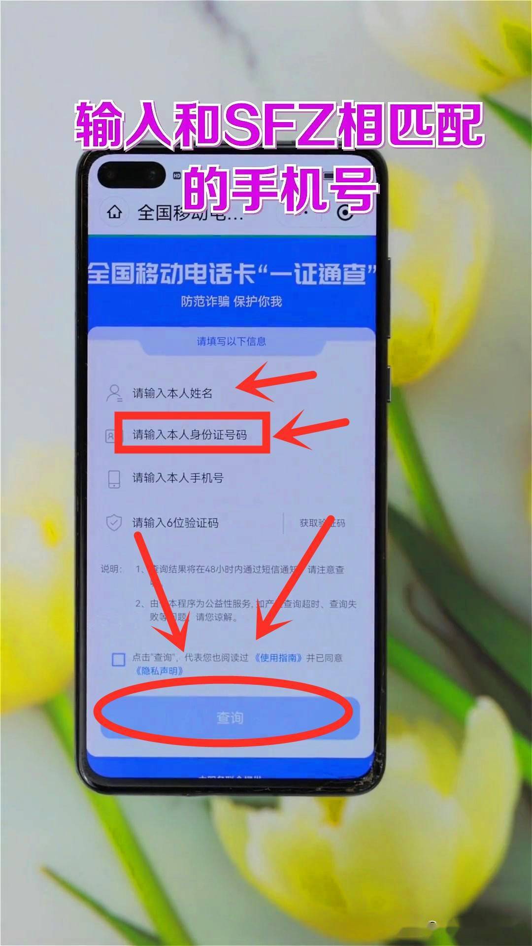 怎么通过身份证号查姓名_证姓名查身份号通过什么查询_通过姓名查询身份证号