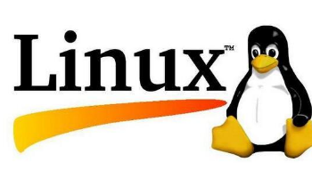 硬件编程和软件编程区别_windows编程和linux编程的区别_windows编程和linux编程的区别