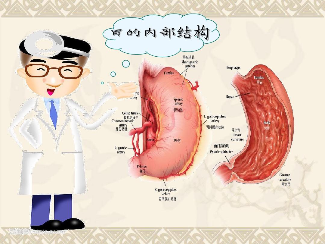 玉林中医院肠胃科_玉林中医院胃病专家_玉林胃病论坛