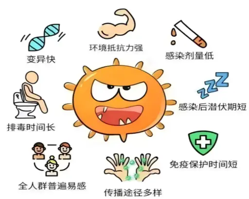 呼吸道合胞病毒最突出的特点_呼吸道合胞病毒缩写_呼吸合胞病毒表现