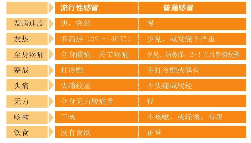 呼吸合胞病毒表现_呼吸道合胞病毒缩写_呼吸道合胞病毒最突出的特点