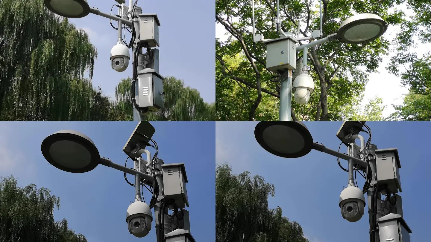 可以随便查看天网监控视频吗_个人能查天网监控吗_监控能查天网个人征信吗