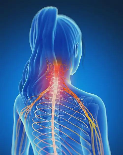 呼吸后背痛是什么原因-呼吸后背痛的原因及处理方法详解：肺部问题、背部肌肉及骨骼异常都可能导致