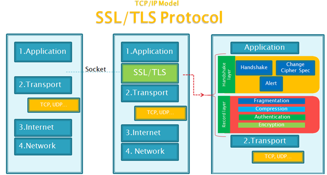 ssl证书认证过程_ssl认证_认证ssl证书
