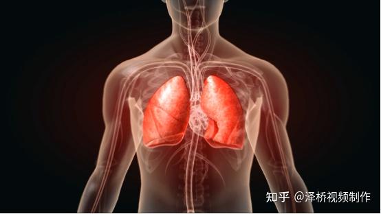 肺结核典型症状是_肺症状结核型有传染性吗_三型肺结核症状有哪些