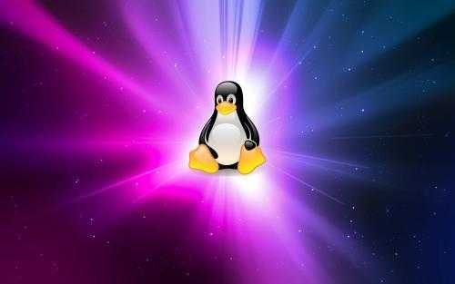 安装fedora黑屏_linux安装黑屏_黑屏安装显卡驱动