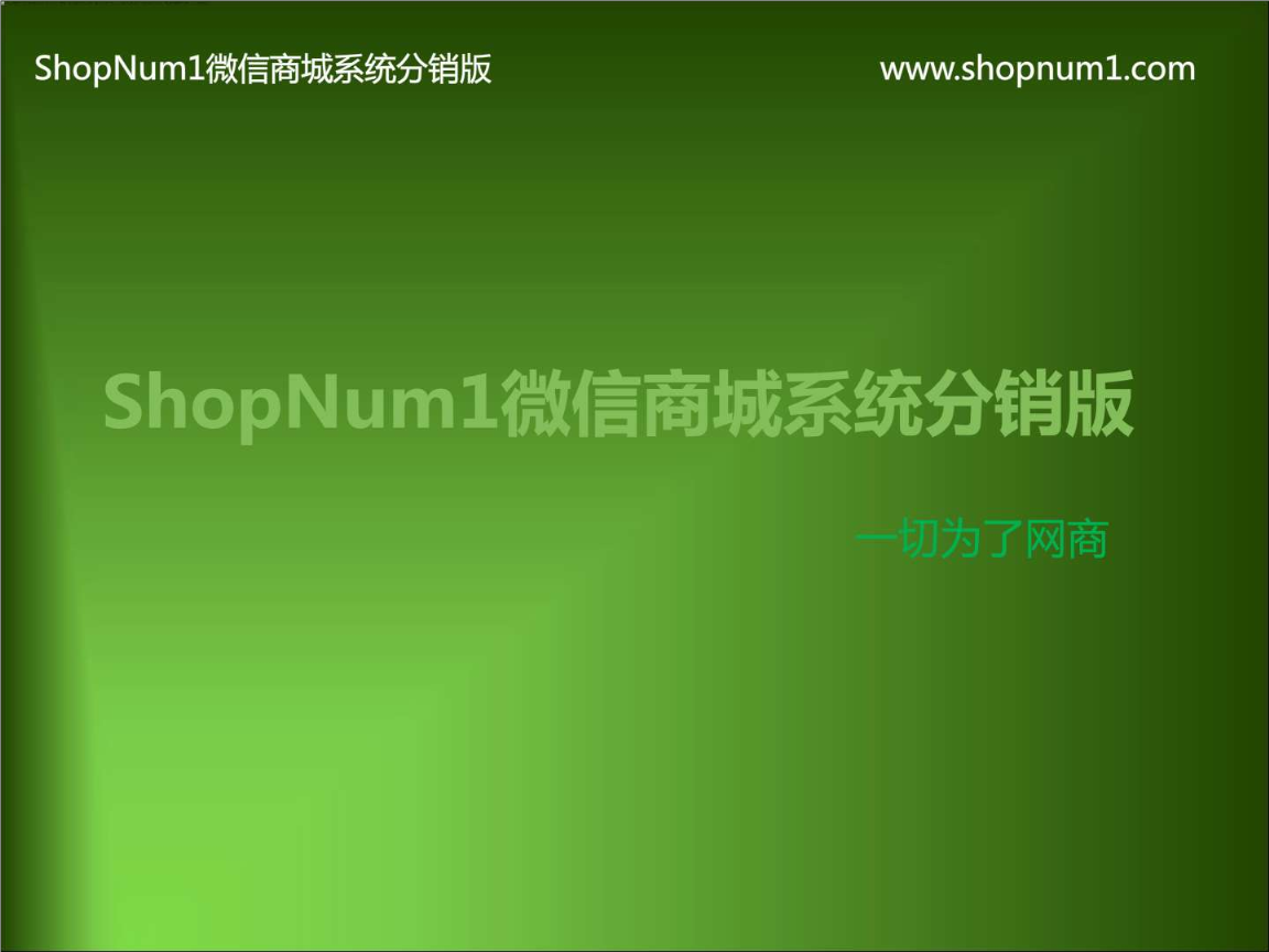 shopnum1 源码-深度解析shopnum1源码：探秘电商平台的技术奥秘与架构设计
