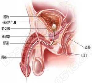 商丘的男科医院_商丘男科哪里好_商丘男科治疗需要多少费用