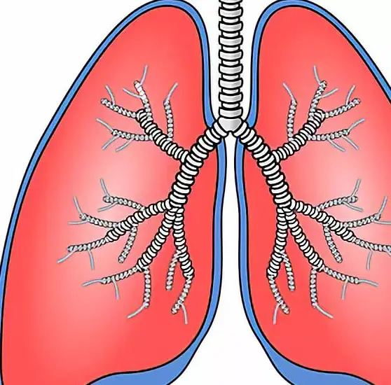 肺细胞角蛋白高8点多危险吗_肺细胞角蛋白21-1偏高原因_肺细胞角蛋白