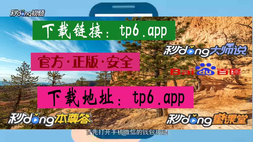 钱包下载官网_冷钱包怎样下载_国内可以下载冷钱包吗