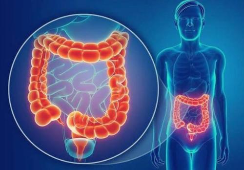 鲜血便肚子疼_肚子痛,大便拉出好多鲜血_大便出鲜血肚子有点痛