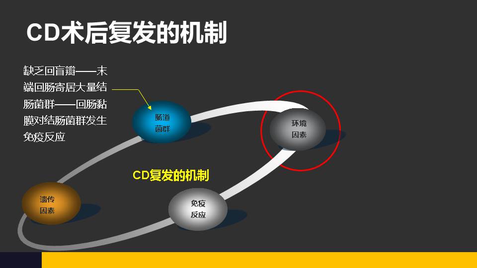 罗恩克病_罗克恩病能治好吗_克罗恩治疗方法