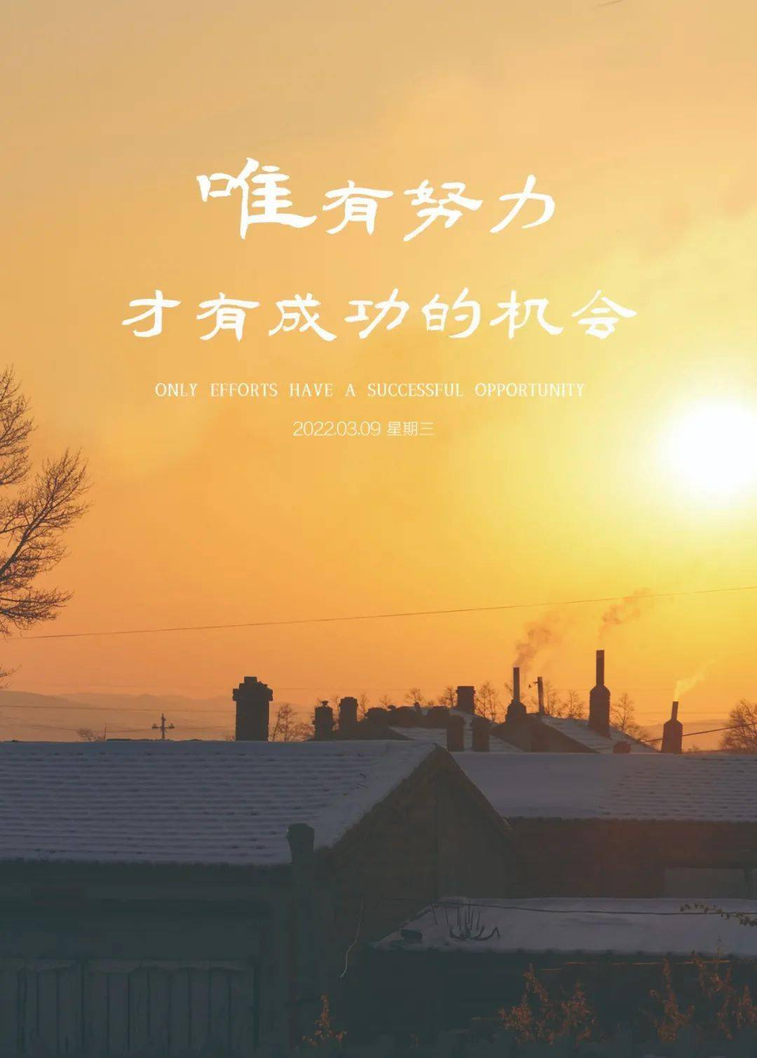 复旦大学宿舍楼图片_复旦宿舍楼平面图_复旦大学宿舍图片