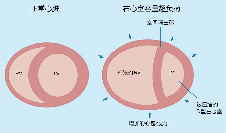 更新系统d盘的东西会删除吗_系统更新后d盘不见了_win10更新d盘消失